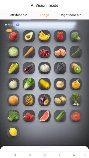 Samsung Bespoke 4 Door Flex Refrigerator With AI Family Hub 2024 AI Vision Inside 304x540 N6Sz6W food