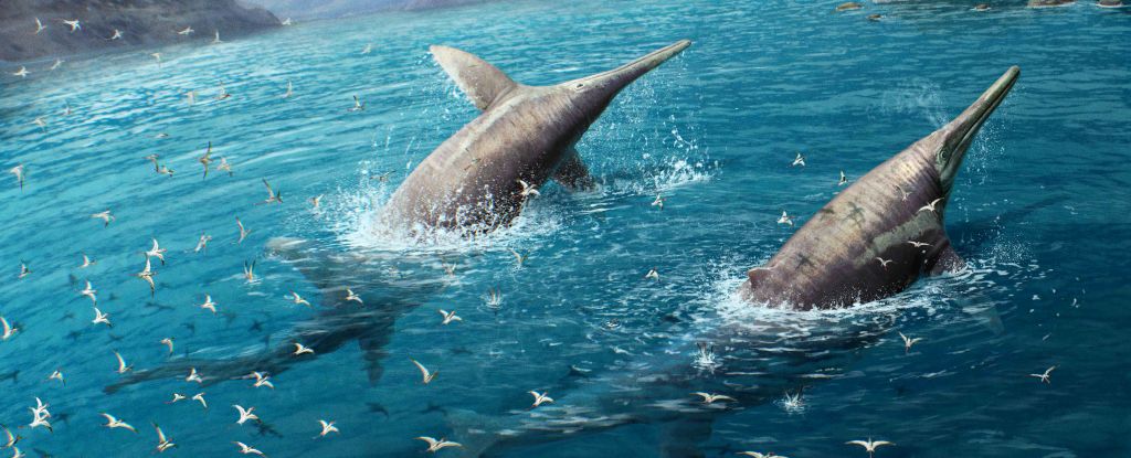 froclicking ichthyosaurs 8M9IZL